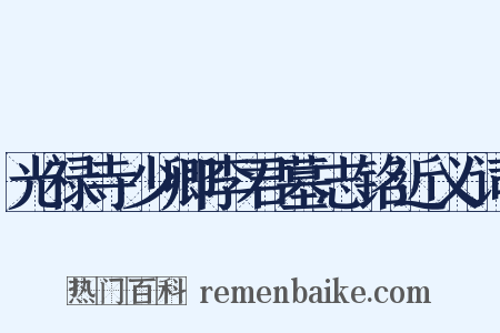光禄寺少卿李君墓志铭近义词是什么意思的图片